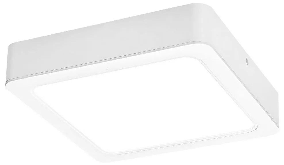 Rabalux 3176 - LED Stropné svietidlo SHAUN LED/24W/230V 22 cm