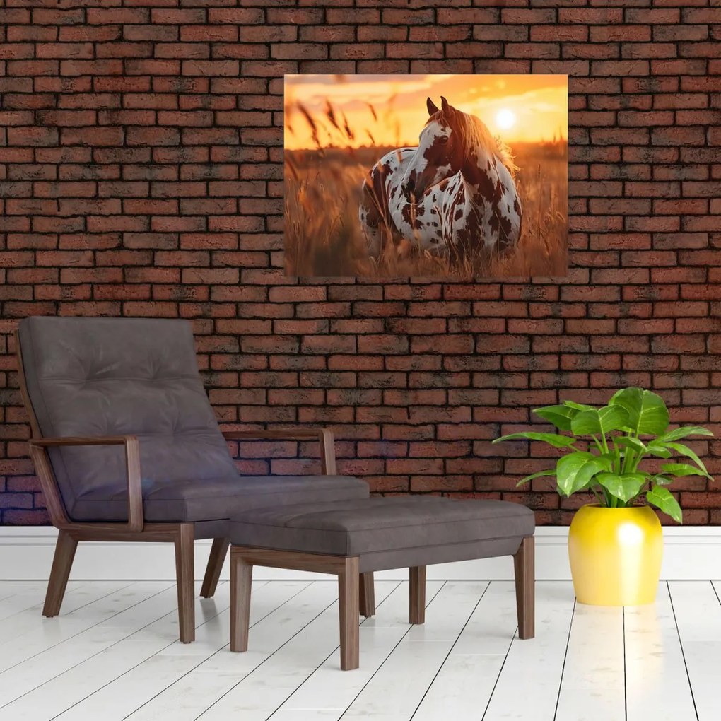 Obraz - Kôň pri západe slnka (70x50 cm)