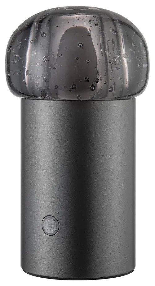 LED prenosné stmievateľné vonkajšie svietidlo na USB ø 10 cm Iris – Blomus