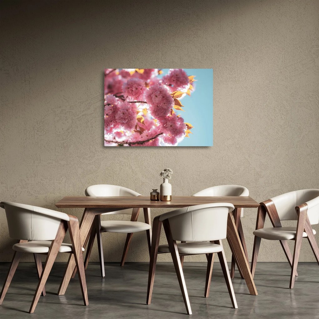 Sklenený obraz - Čerešňový kvet (70x50 cm)