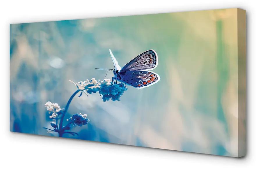 Obraz na plátne farebný motýľ 125x50 cm
