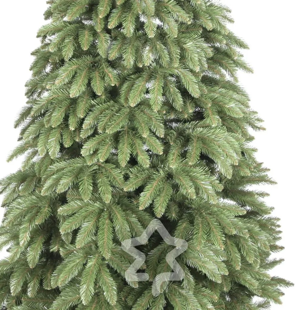 Smrek Kaukazský 2D 220 cm
