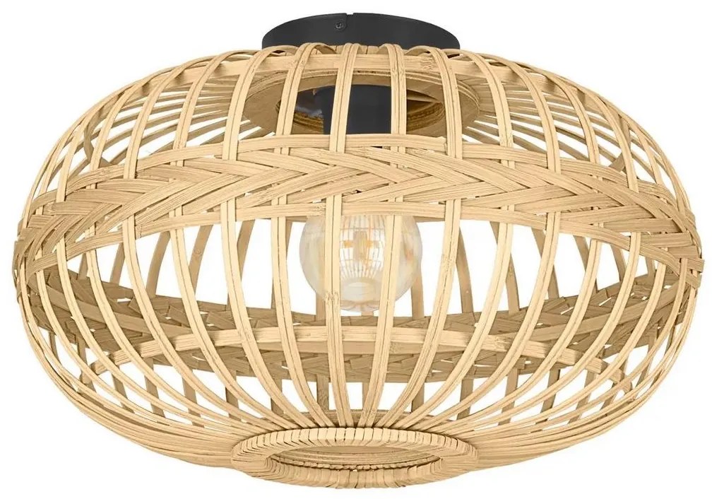 Eglo 43723 - Stropné svietidlo AMSFIELD 1xE27/40W/230V