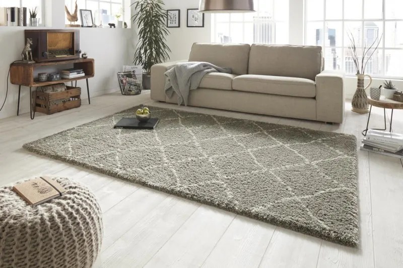 Mint Rugs - Hanse Home koberce Kusový koberec Allure 102752 graun creme - 200x290 cm