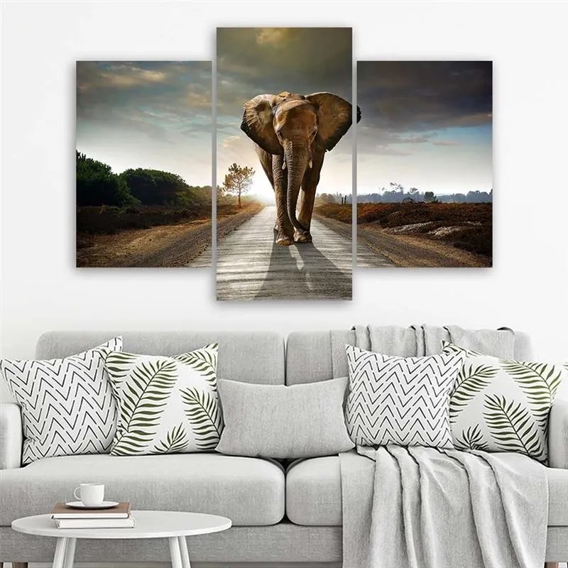 Gario Obraz na plátne Putovanie slona na ceste - 3 dielny Rozmery: 60 x 40 cm