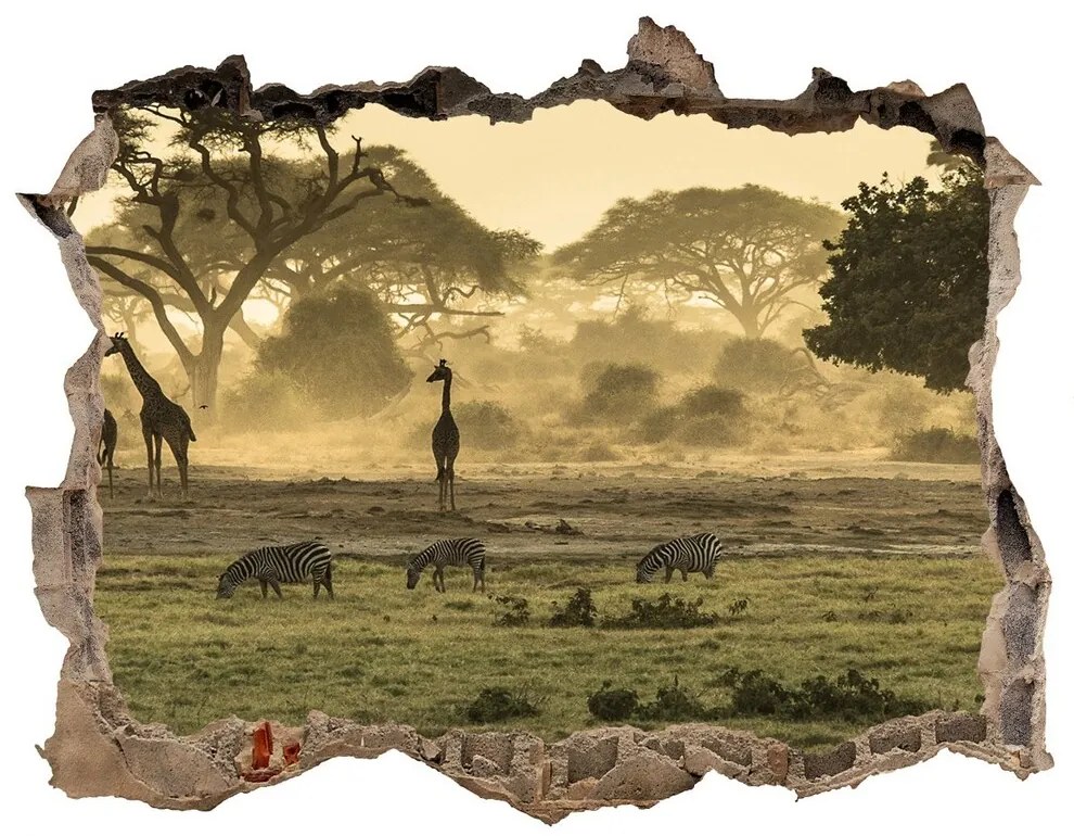 Nálepka fototapeta 3D Žirafy na savane nd-k-64472028