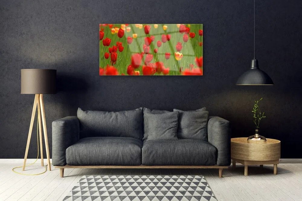 Obraz na akrylátovom skle Tulipány rastlina 100x50 cm