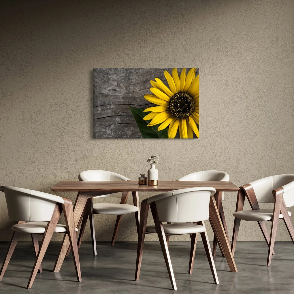 Obraz - Kvet slnečnice (90x60 cm)