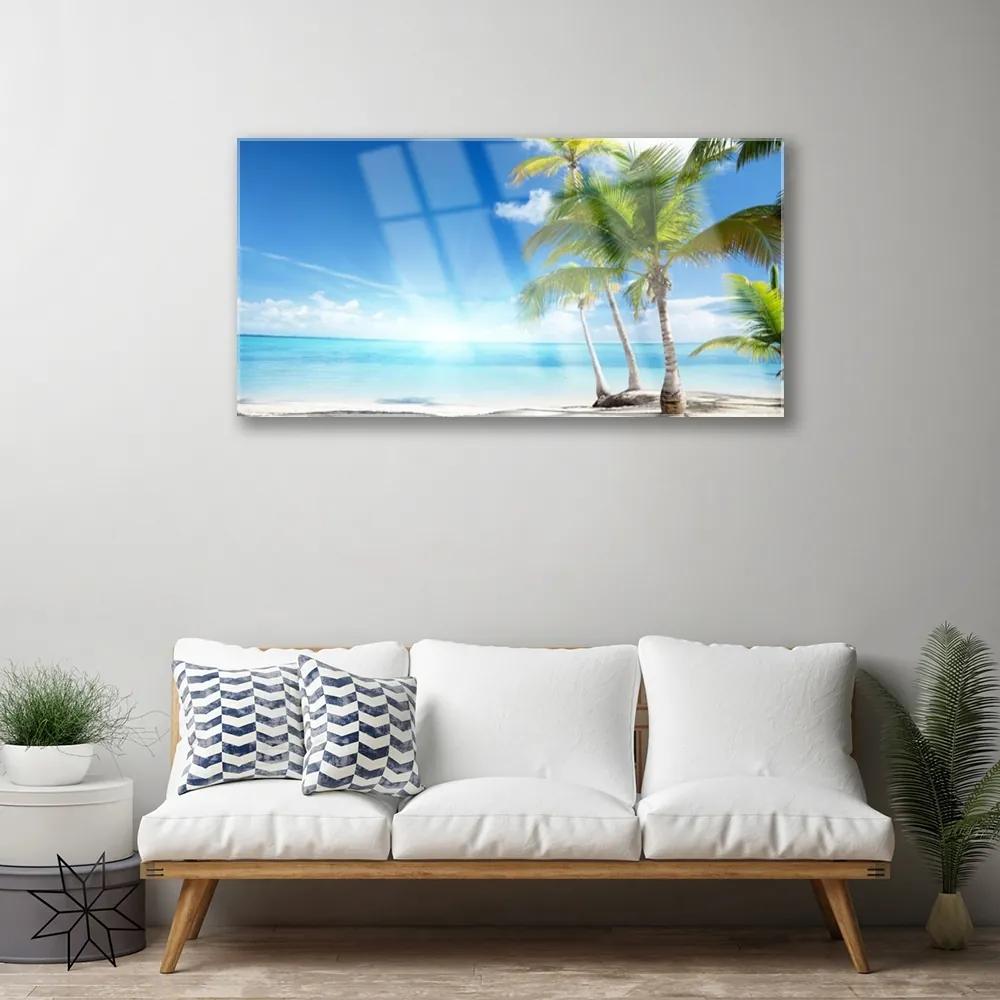 Obraz na akrylátovom skle Palma strom more krajina 100x50 cm