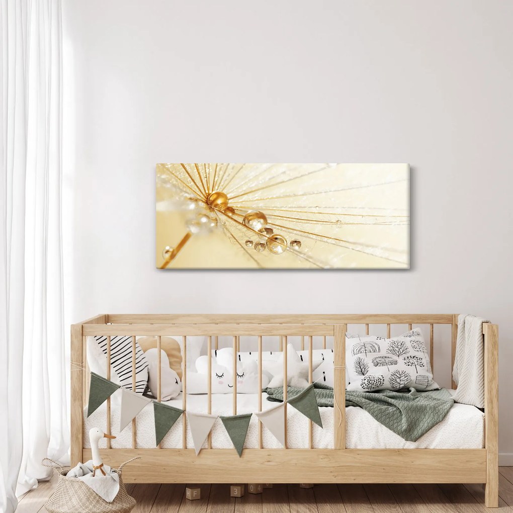 Obraz - Makro fotografie púpavy (120x50 cm)