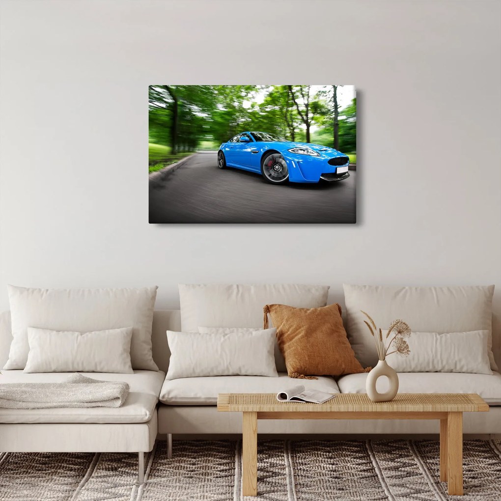 Obraz - Závodné auto (90x60 cm)