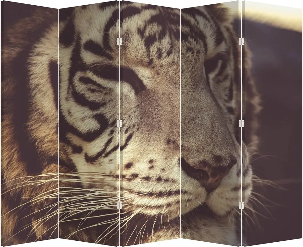 Paraván - Tiger (210x170 cm)