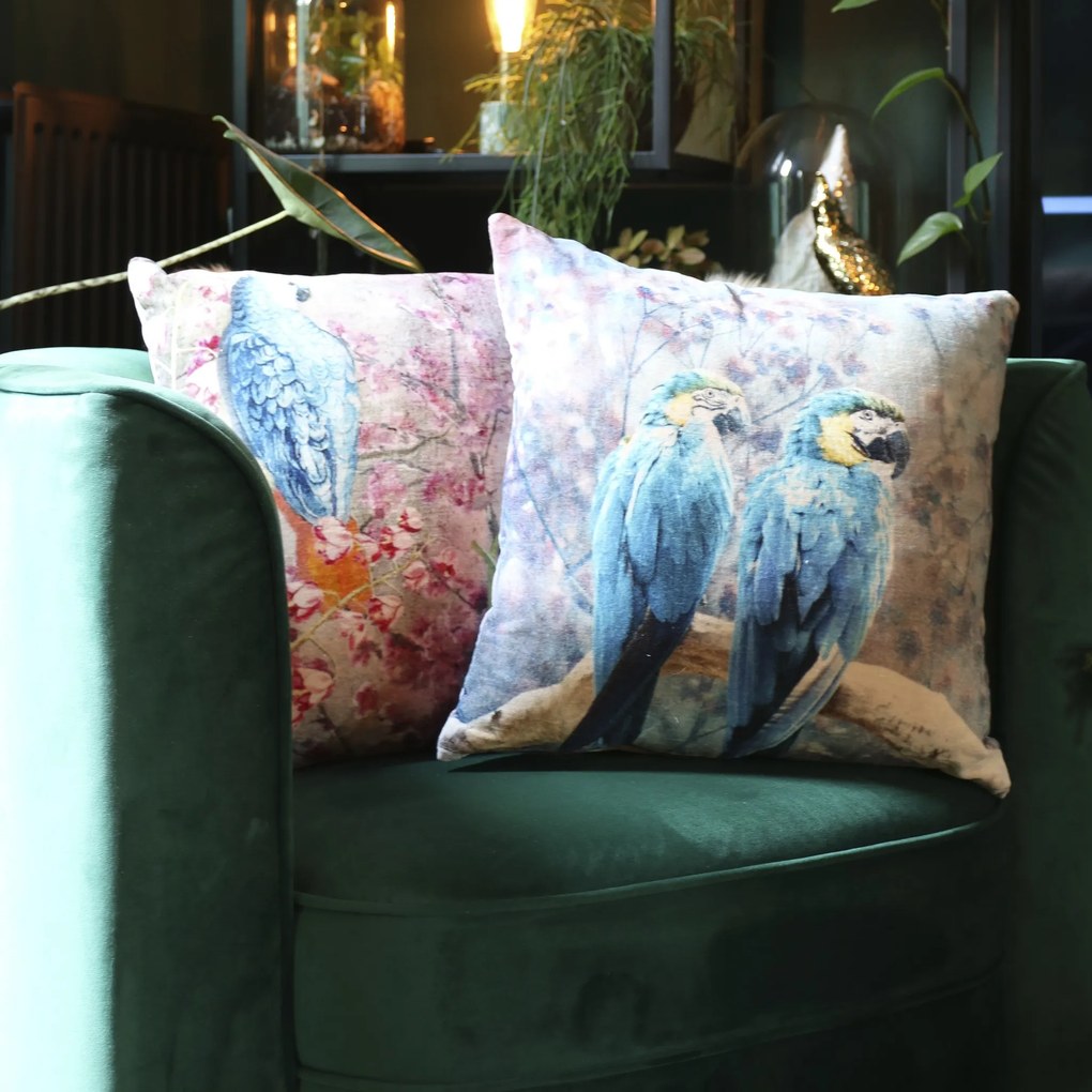 Modro- ružový zamatový vankúš očarujúce papagáj - 45 * 45 * 15cm