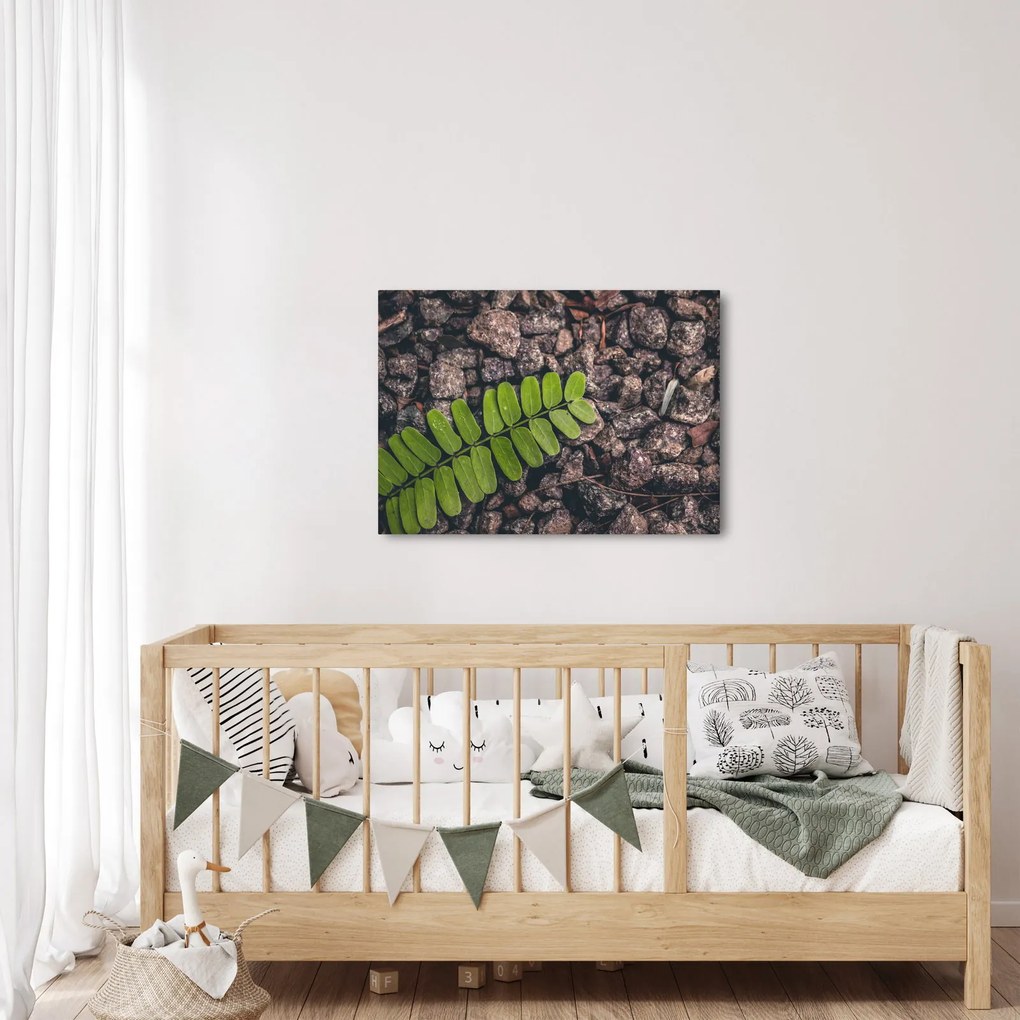 Obraz zelenej rastliny (70x50 cm)