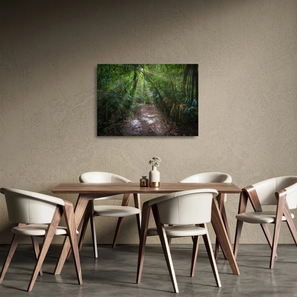 Sklenený obraz - Slnečné lúče v džungli (70x50 cm)