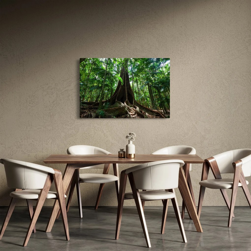 Obraz - Korene stromu (90x60 cm)