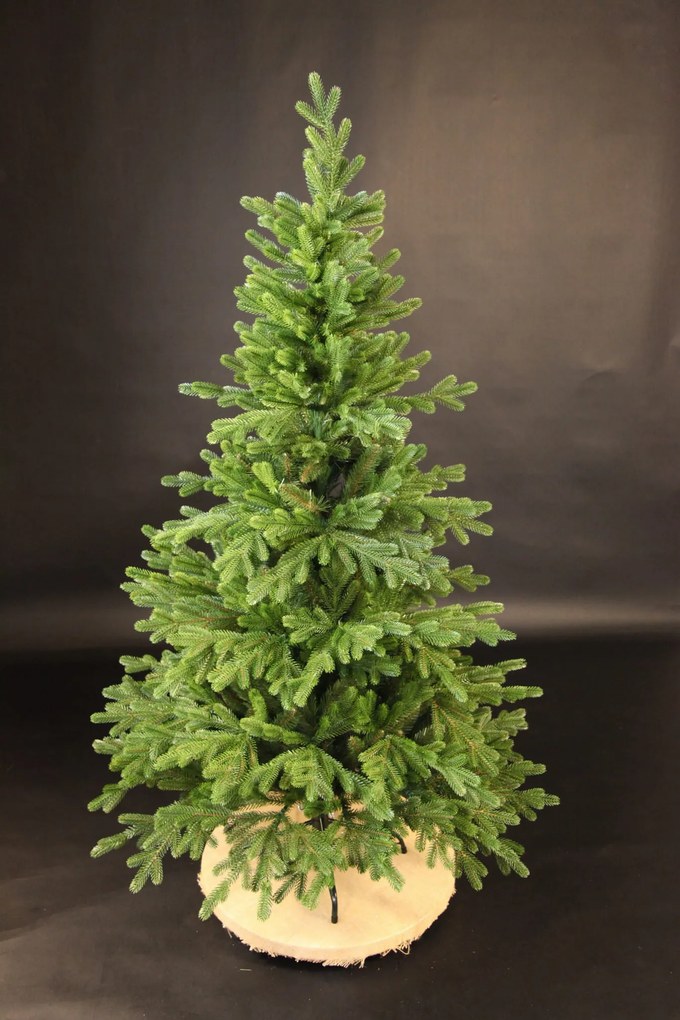 Smrek Tirolský 3D- 170cm