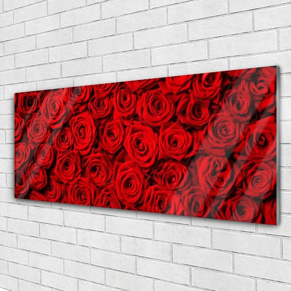 Obraz na akrylátovom skle Ruže 125x50 cm