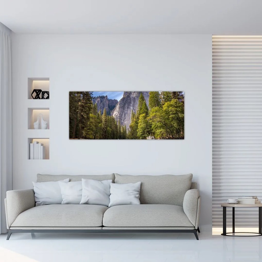 Obraz - Pod Yosemite skalou (120x50 cm)