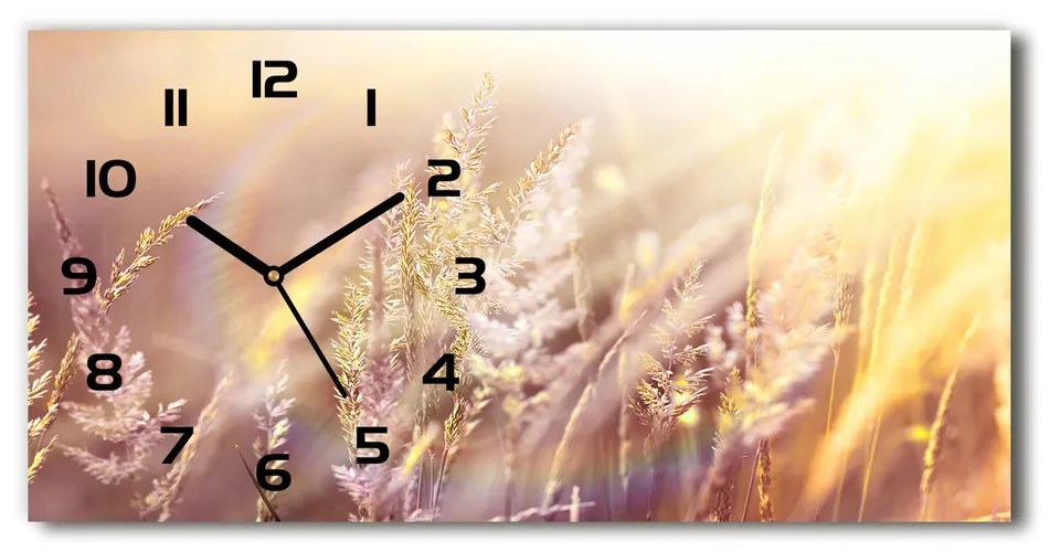 Vodorovné Sklenené hodiny na stenu tiché Vysoká tráva pl_zsp_60x30_f_66866961