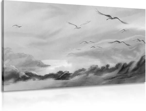 Obraz akvarelové labute nad oblakmi  v čiernobielom prevedení