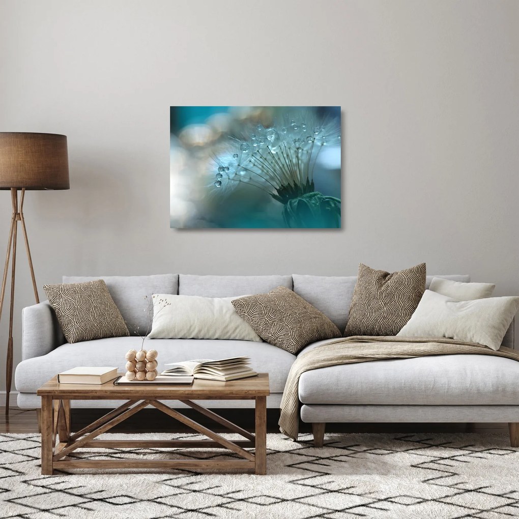 Sklenený obraz - Púpava - petrolej (70x50 cm)
