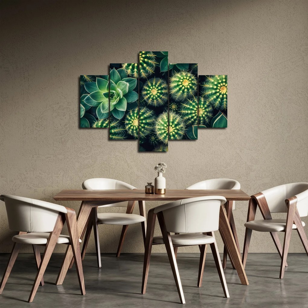 Obraz - Kaktusy (150x105 cm)