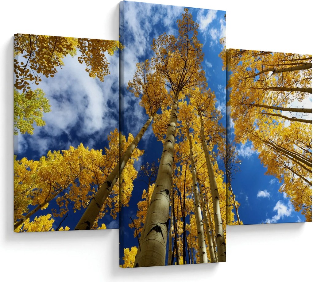 Obraz - Aspen (90x60 cm)