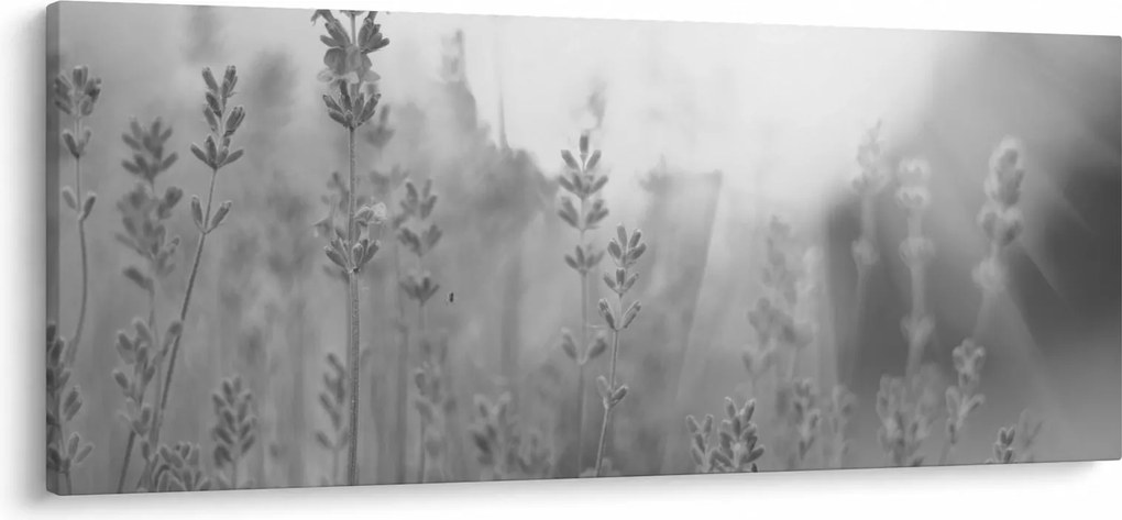 Obraz - Levanduľa (120x50 cm)