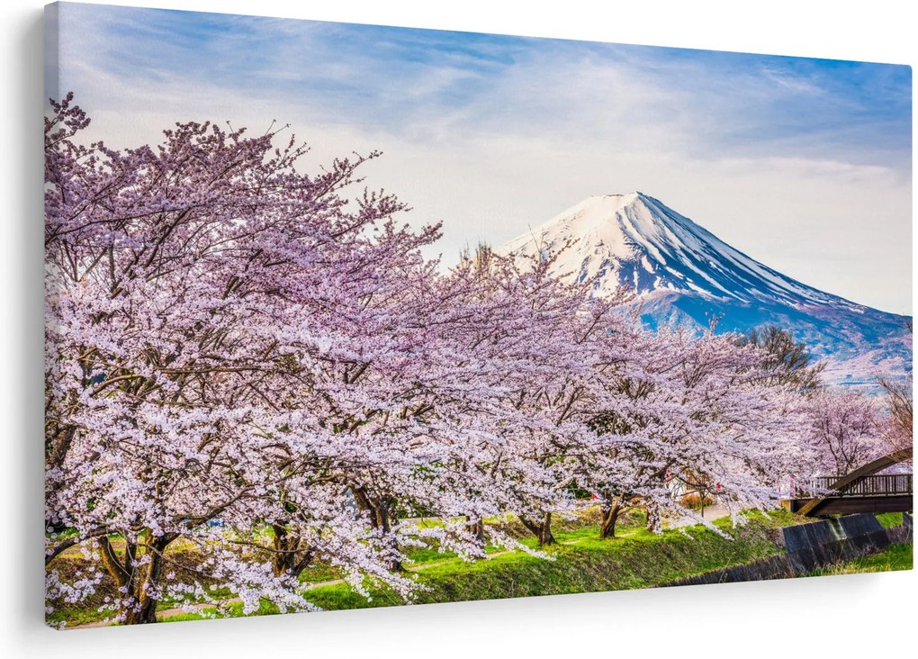 Obraz - Japonsko na jar (90x60 cm)