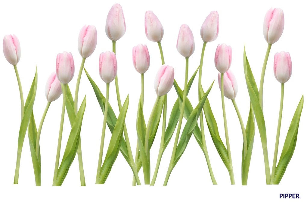 PIPPER. Textilná nálepka na stenu "Tulipány 2"