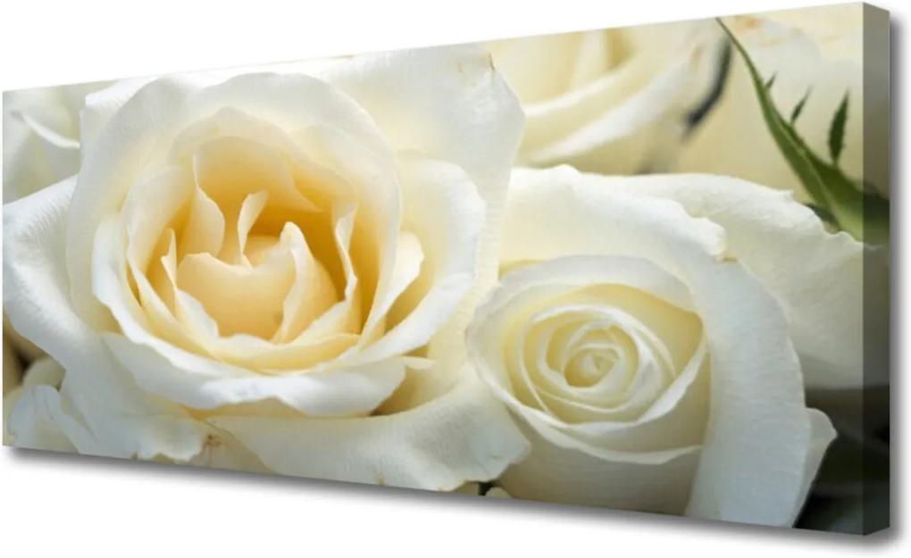 Obraz na plátně Sklenený Ruže Kvety
