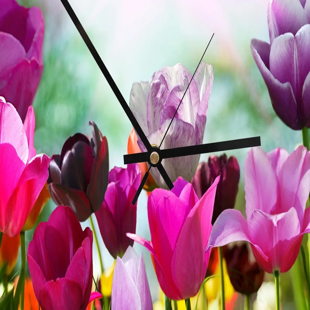 Gario Hodiny na stenu Farebné tulipány Rozmery: 80 x 80 cm