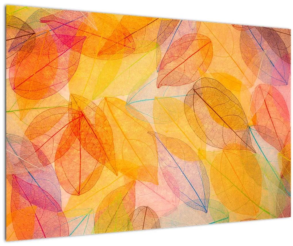 Obraz - Pozadie z jesenného lístia (90x60 cm)