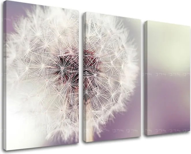 Obraz na stenu 3 dielny KVETY KV065E30 - 90x60 cm