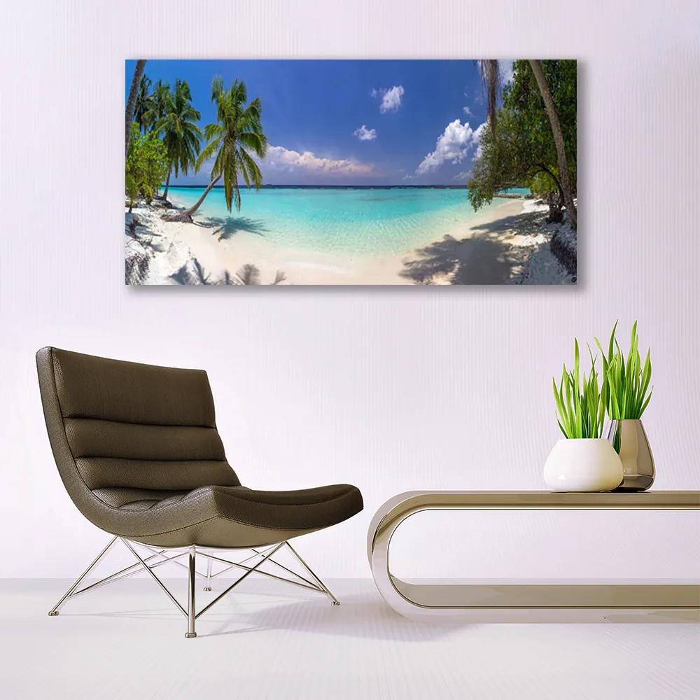 Obraz na akrylátovom skle More pláž palma krajina 120x60 cm