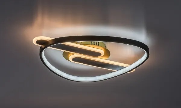Rabalux 71467 - LED stmievateľné stropné svietidlo BRANTIEL LED/60W/230V 3000-6000K 53x45 cm + diaľkové ovládanie