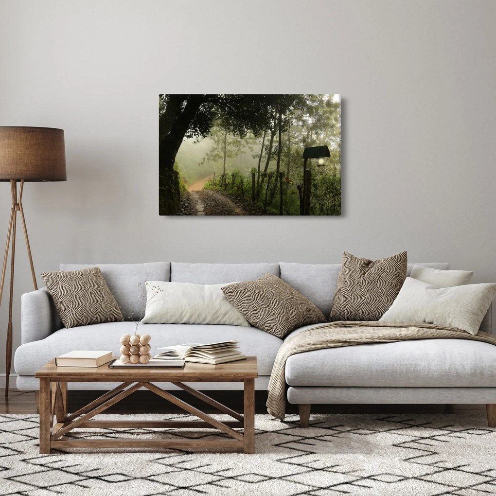 Obraz rannej hmly (90x60 cm)