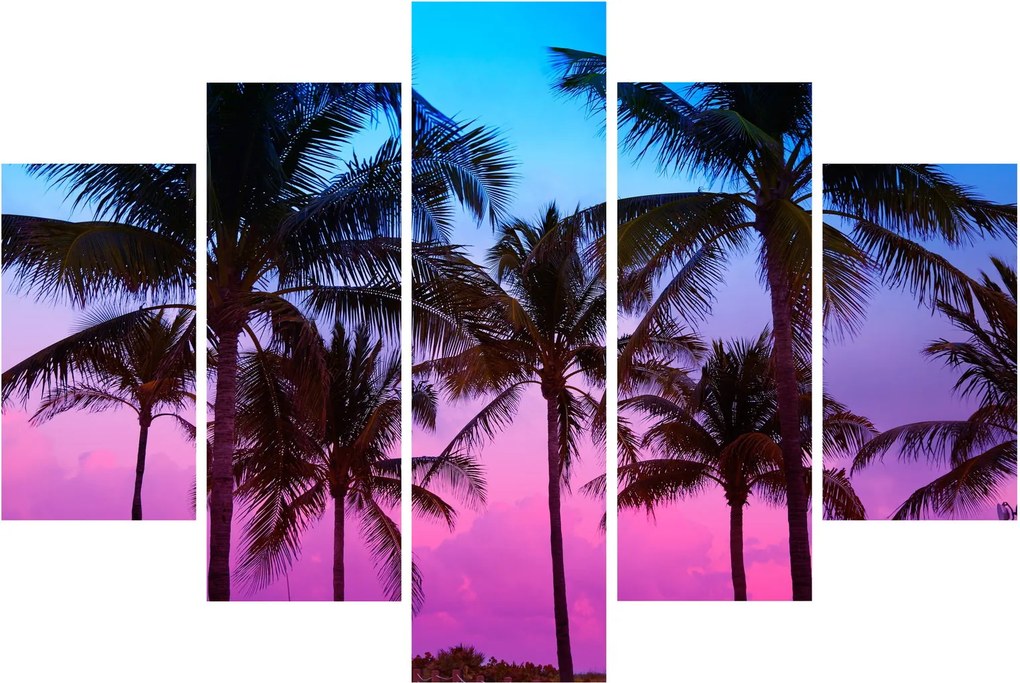 Obraz - Palmy v Miami (150x105 cm)