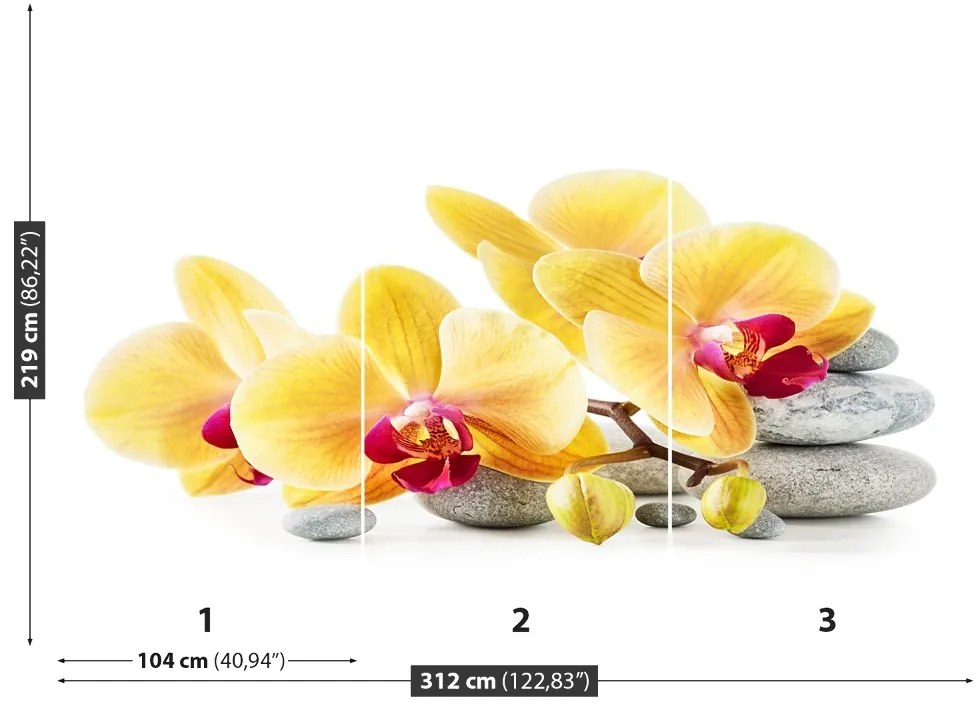 Fototapeta Vliesová Žltá orchidea 208x146 cm