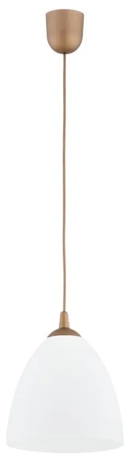 Luster na lanku LERA 1xE27/15W/230V zlatá