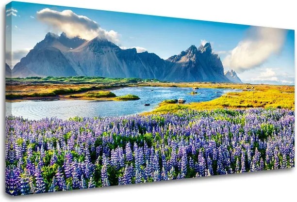 Obraz na stenu LÚKA_047-13