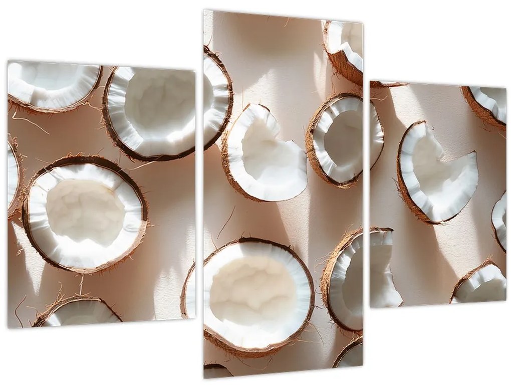 Obraz - Kokosové orechy (90x60 cm)