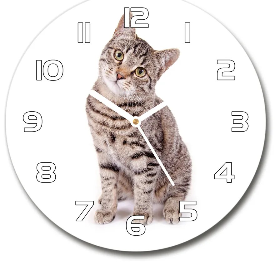 Sklenené nástenné hodiny okrúhle Mačka pl_zso_30_f_78018175