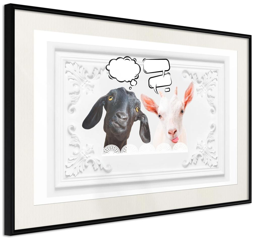 Artgeist Plagát - Funny Goats [Poster] Veľkosť: 45x30, Verzia: Čierny rám s passe-partout