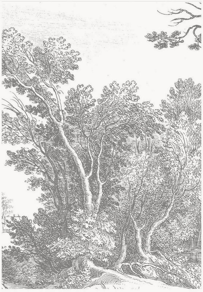 Vliesová tapeta Engraved Landscapes V