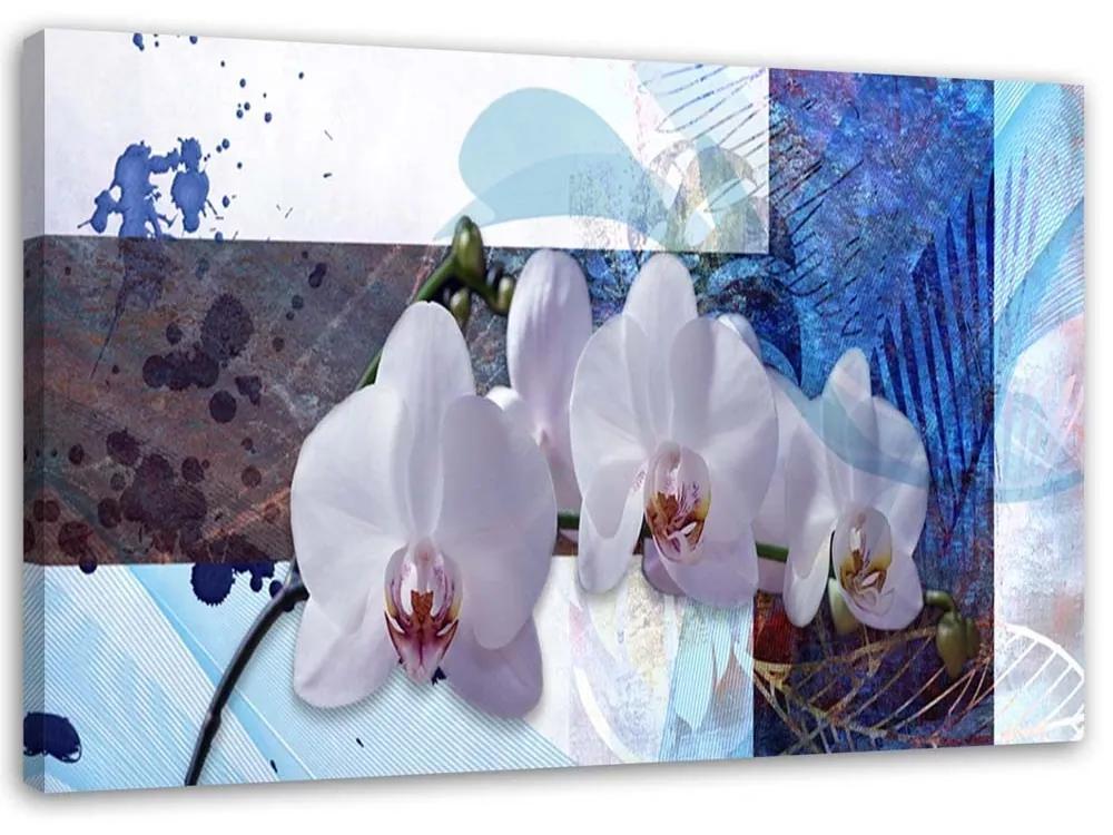 Obraz na plátně Orchidejová abstraktní modrá - 100x70 cm