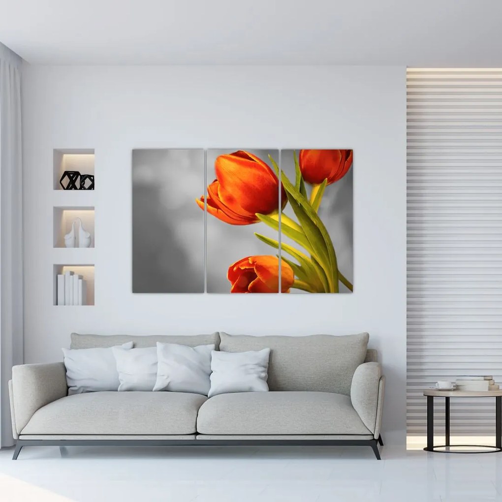 Obraz tulipánov