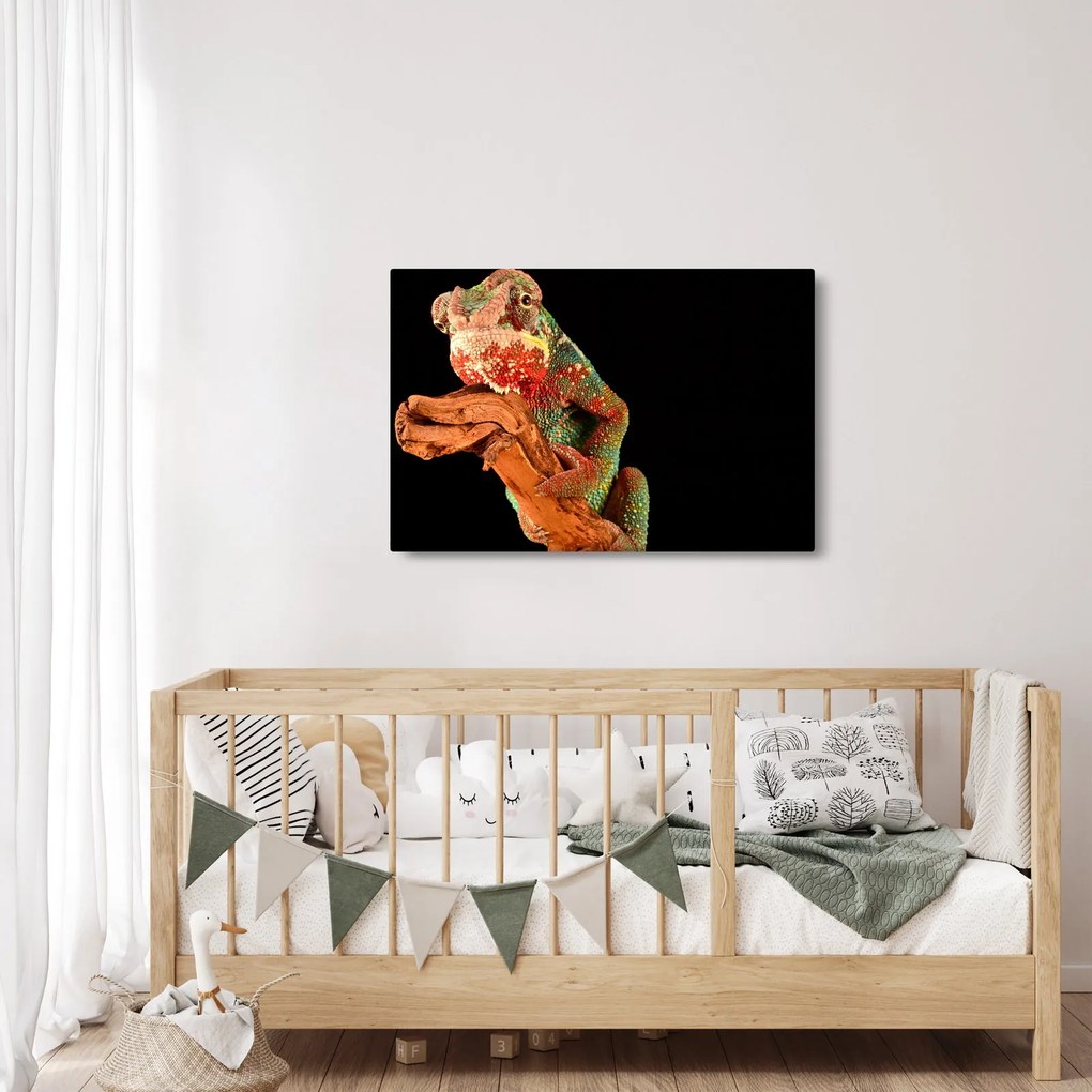 Obraz chameleóna na vetve (90x60 cm)