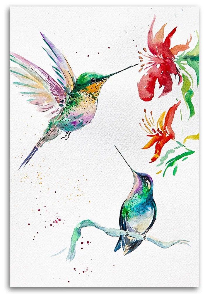 Gario Obraz na plátne Kolibríky - Dorota Martyńska Rozmery: 80 x 120 cm